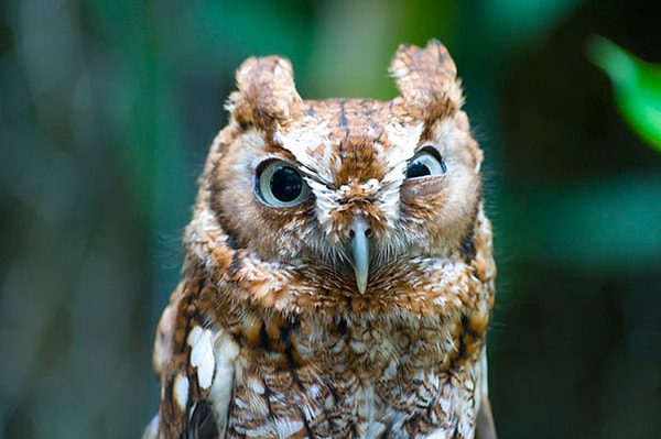 12. "Кажется, я его выбесил"