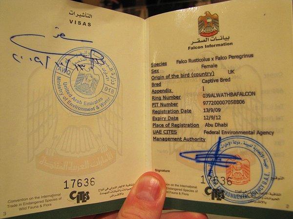 2002 ve 2013 yılları arasında Birleşik Arap Emirlikleri'nde 28.000'den fazla şahine pasaport çıkartıldı.