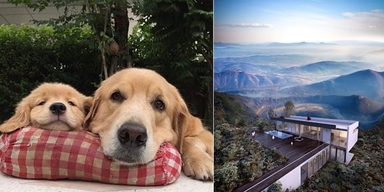 Onedio Instagram Hesabı İftiharla Sunar! Ocak Ayının En Çok Beğenilen 27 Paylaşımı