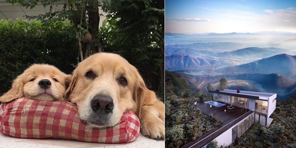 Onedio Instagram Hesabı İftiharla Sunar! Ocak Ayının En Çok Beğenilen 27 Paylaşımı