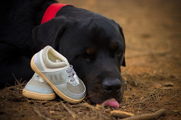 7. "Я не понимаю, как можно подарить этому миру ребенка, и в то же время избавиться от других своих деток"