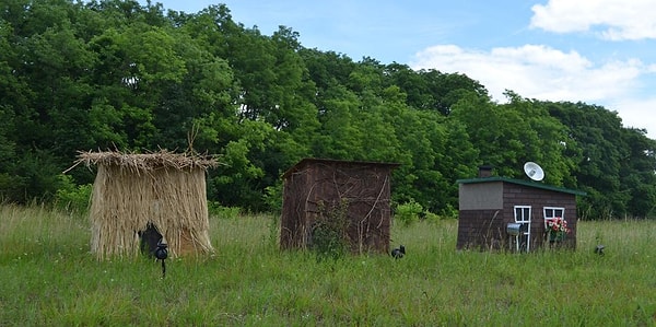 14. Неподалеку от Огайо перевернулся грузовик с поросятами. Кто-то построил это за выходные