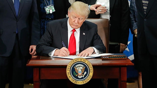 ABD'nin yeni başkanı Trump'ın bazı Müslüman ülkelere yönelik göç ve seyahat kısıtlaması, ABD'ye göçmen olarak gelip öne çıkan bu isimleri gündeme getirdi.