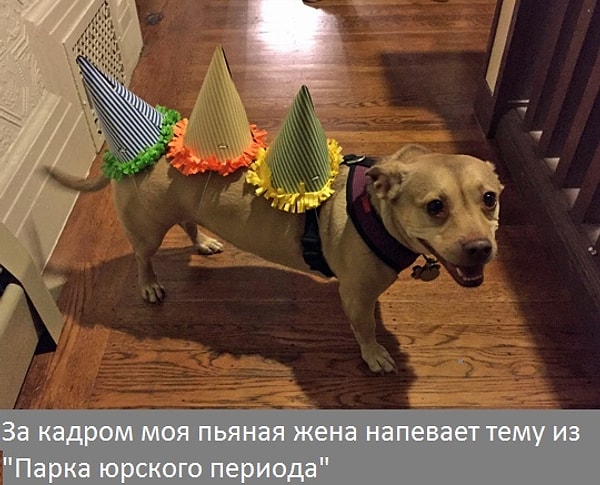 6. Некоторые люди умеют развлекаться