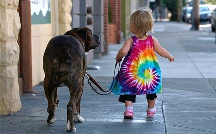 10 причин, по которым детям лучше расти вместе с домашними животными