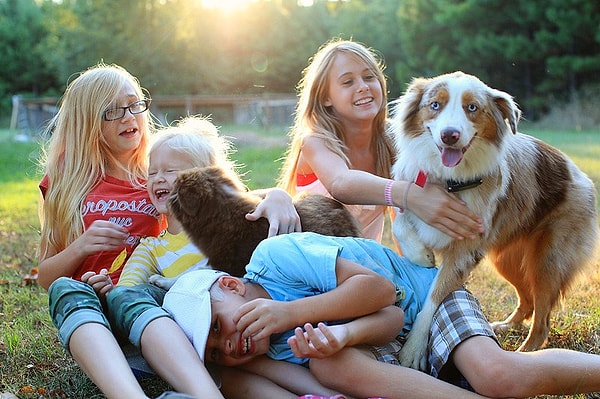 6. Домашние питомцы сближают братьев и сестер