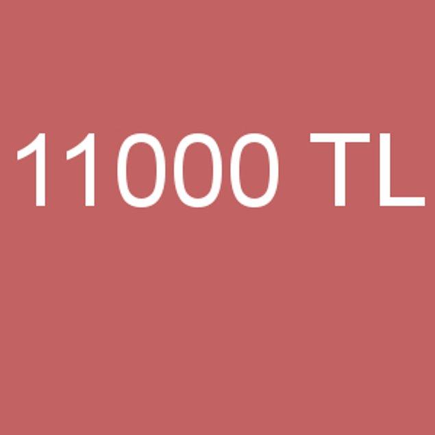 11.000 TL!