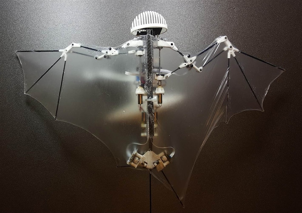 Dünyanın İlk Yarasa Robotu: Bat Bot