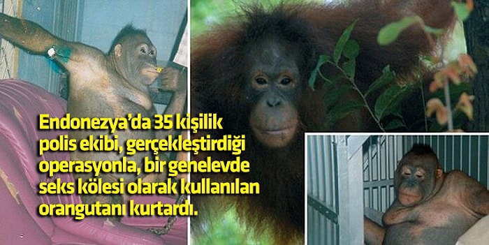 Vay Anam Vay Neler Dönmüş! Siz Oracıkta Otururken Uzaklarda Gerçekten Yaşanmış 15 Olay