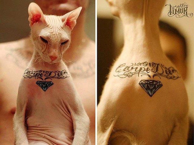 Bir başka Rus dövme sanatçısı da kedisine kendi ile aynı dövmeyi yapmış.