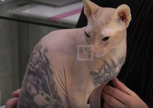 Durumu gören hayvan hakları aktivistleri ve hayvan rehabilitasyon merkezi başkanı Elizabeth Skorynin dövme sanatçısını sert bir şekilde eleştirdi.