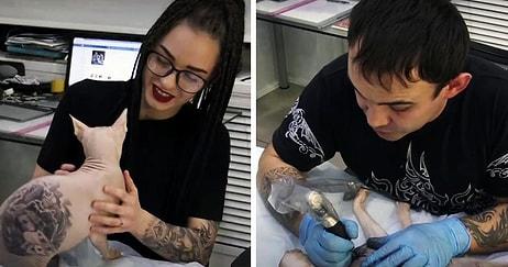 Sfenks Cinsi Kedisine Yaptığı Kalıcı Dövmelerle Tartışma Yaratan Rus Dövme Sanatçısı