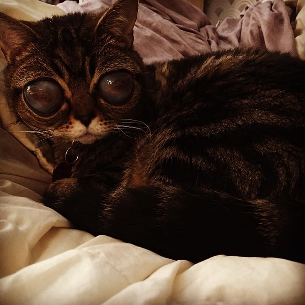 19. Матильда (Matilda) - 142 тыс. подписчиков