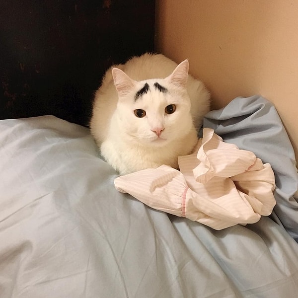 18. Сэм (Sam) - 221 тыс. подписчиков