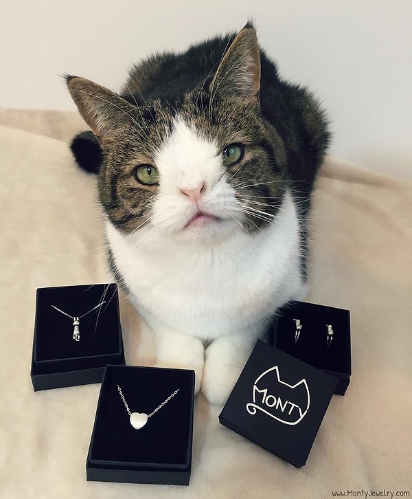 15. Монти (Monty) - 280 тыс. подписчиков