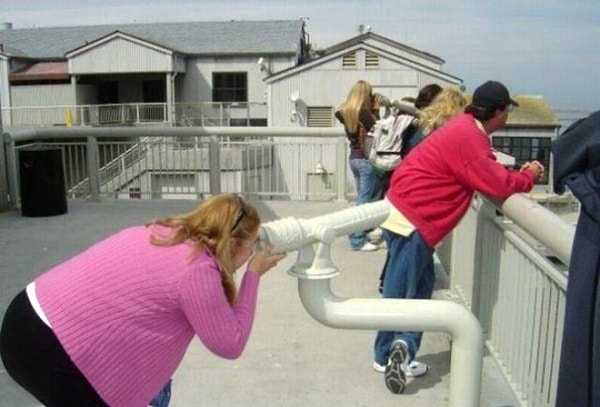 2. Как думаете, что она там увидела?