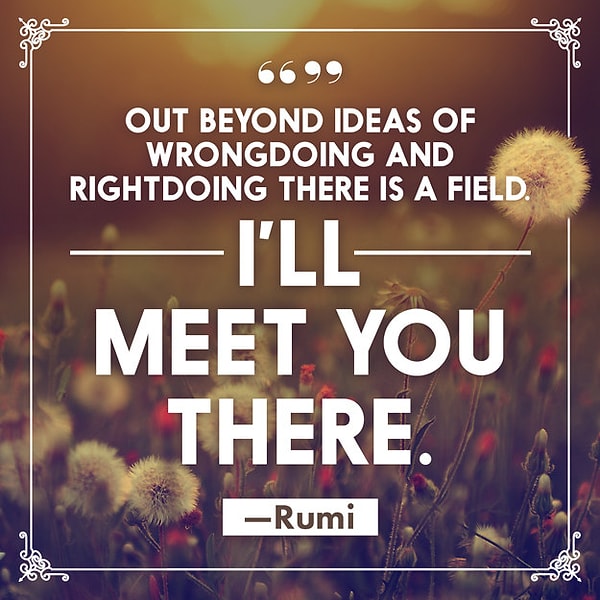 6. Руми Джалаладдину, персидский поэт