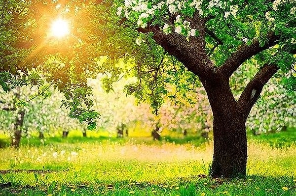 7. Если в душе светит солнце, то совсем не важно, какая погода за окном.