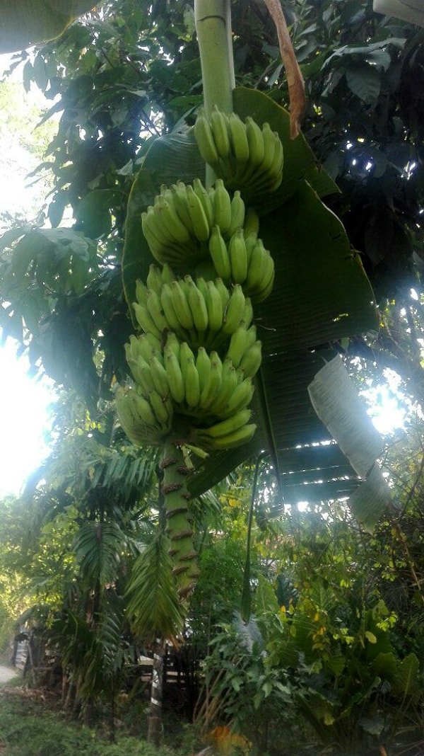 8. Шел, слушал, по сторонам смотрел. Так и прошел все 23 тысячи километровых столбов