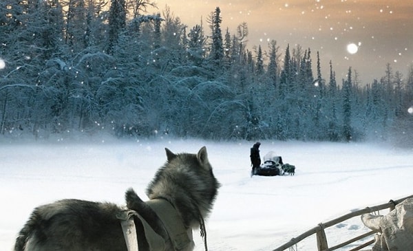 7. Счастливые люди: Год в тайге