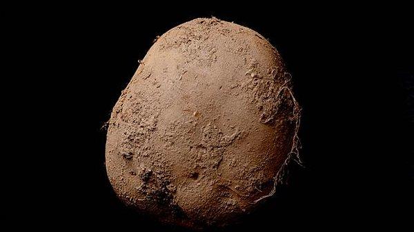 Ama nasıl? Patatesin manevi başkenti İrlanda'da yetişmiş bu asil ve çirkin patatesin fotoğrafı nasıl 1.5 milyon dolar edebildi?