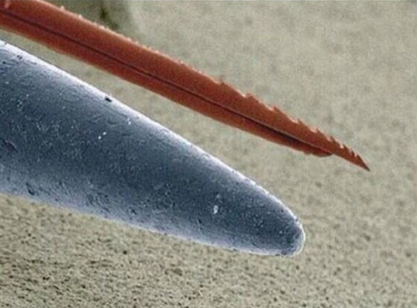 20. В конце концов, даже новая фирменная игла по остроте и рядом не стоит с пчелиным жалом. (Но у неё хотя бы нет зубчиков!)