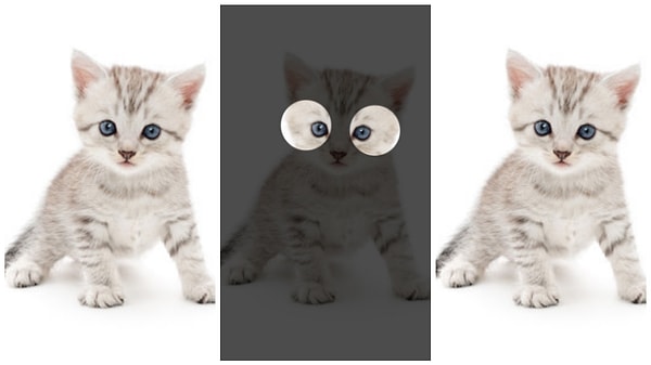 Показать правильный ответ