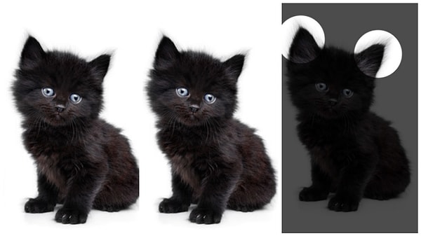 Показать правильный ответ