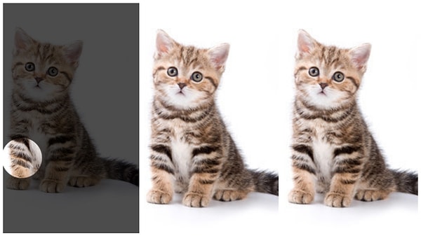 Показать правильный ответ