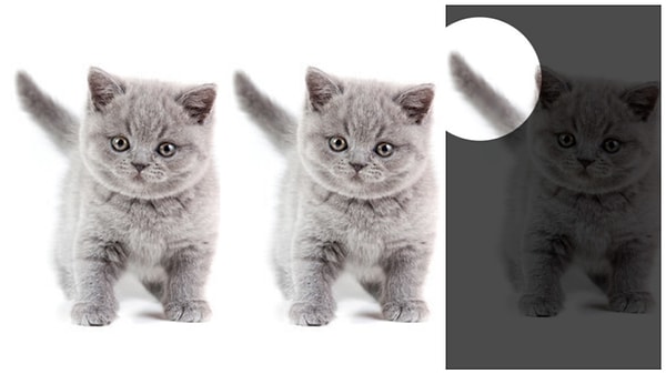 Показать правильный ответ