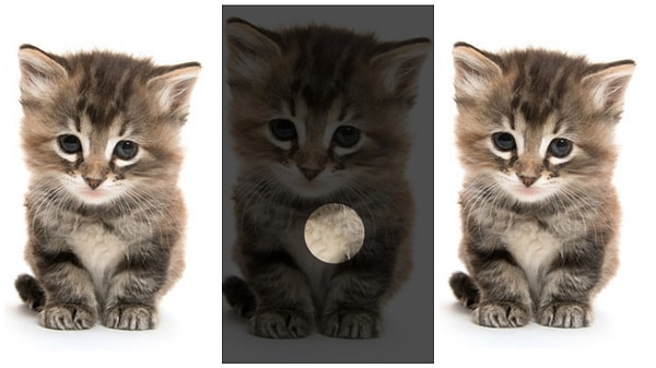 8. Показать правильный ответ