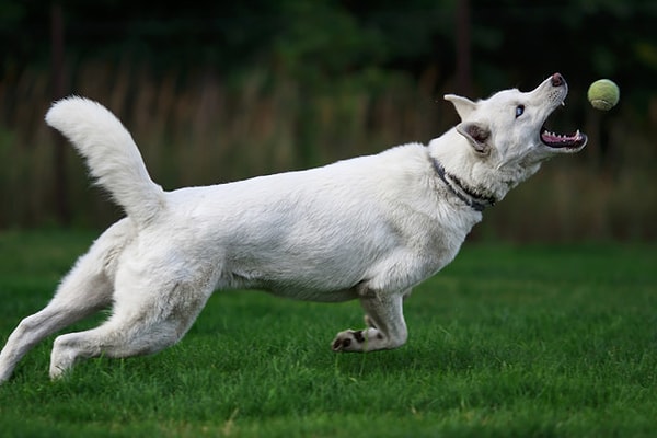 Показать правильный ответ