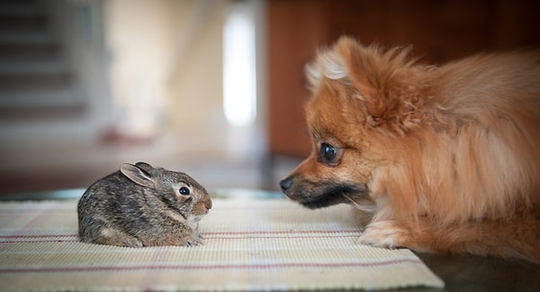 Показать правильный ответ