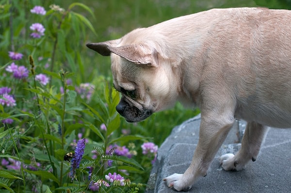 Показать правильный ответ