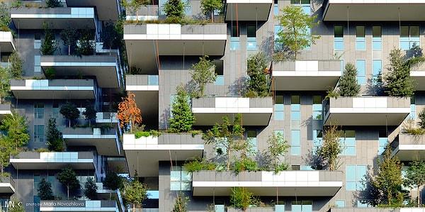 İsviçre'de Lozan kenti için tasarlanmış bir kule orman projesi bulunuyor.