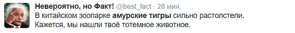 6. Пользователи Твиттера нашли в тиграх свое духовное животное.