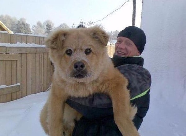 20. Помесь бордосского дога и кавказской овчарки... Щенок еще)