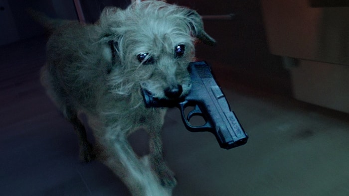 Ortalığı Tozu Dumana Katan John Wick'in Köpeğinden Enfes Parodi: Dog Wick