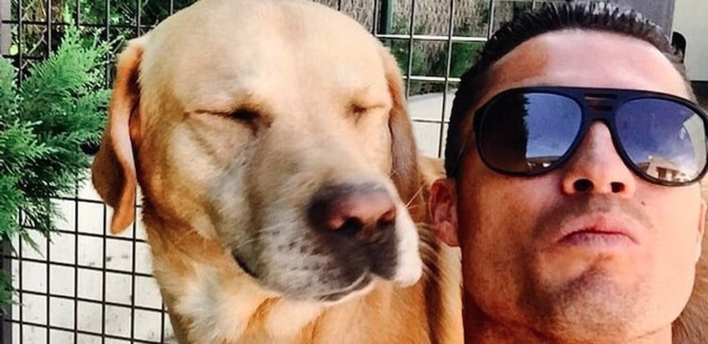 Внезапный спаситель: Криштиану Роналду помог приюту для собак