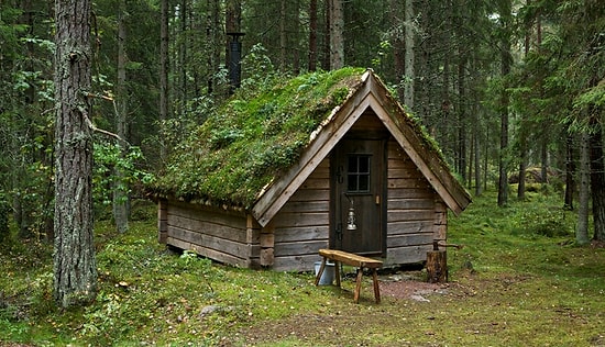 Скандинавская философия глубокого погружения в природу: Friluftsliv