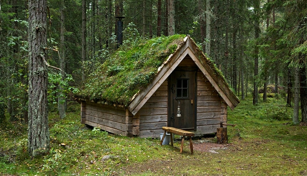 Скандинавская философия глубокого погружения в природу: Friluftsliv