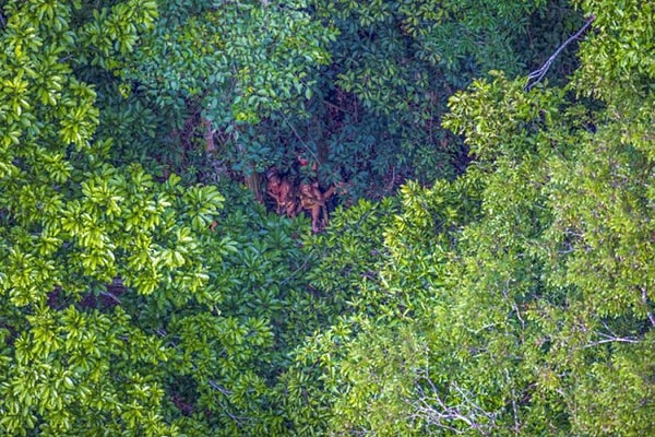 8. Их маленькая цивилизация просто исчезнет с лица Земли, а весь остальной мир никогда об этом не узнает