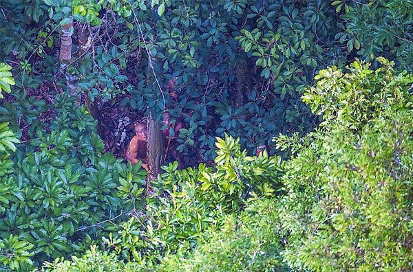 10. Бразильские власти называют их «изолированными индейцами верхней Умайты»