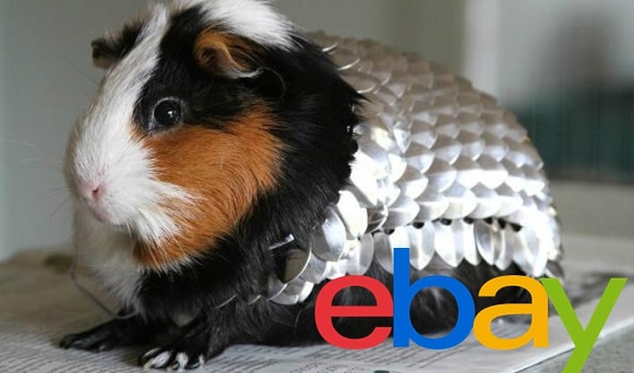 Топ-15 странных вещей, когда-либо продававшихся на eBay