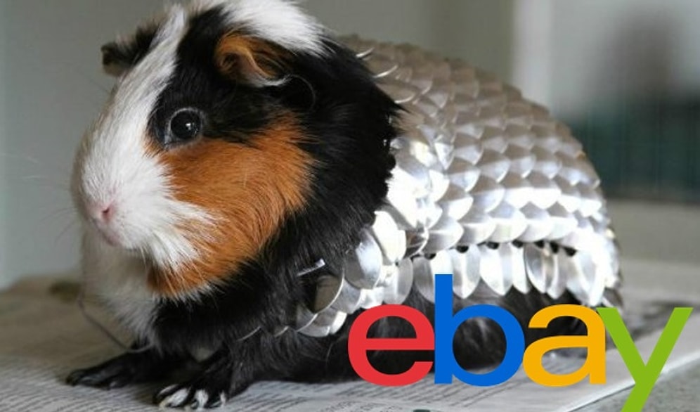 Топ-15 странных вещей, когда-либо продававшихся на eBay