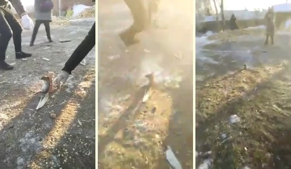 Havai Fişeğe Fare Bağlayıp Uçurmaya Çalışan Çinliler