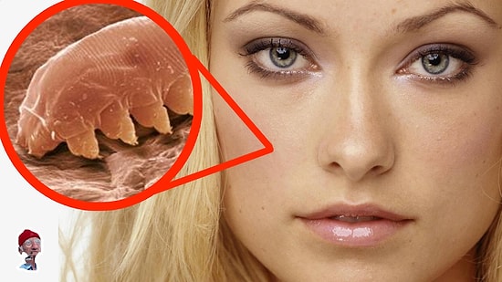 Лицо под микроскопом! 8 фактов о лице, которые вы не знали