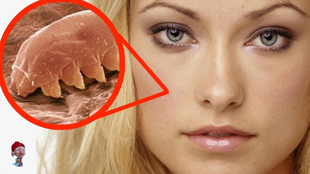 Лицо под микроскопом! 8 фактов о лице, которые вы не знали