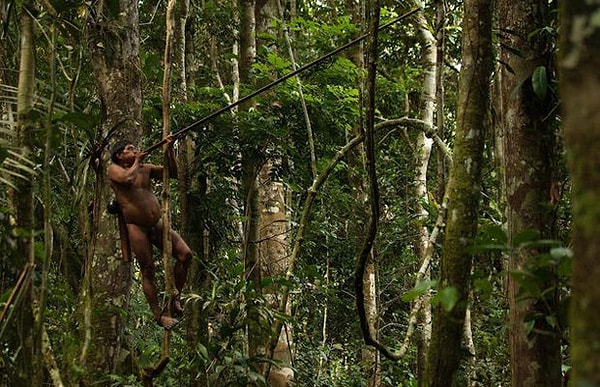 3. Для охоты мужчины используют специальные трубки, стреляющие дротиками с ядом.