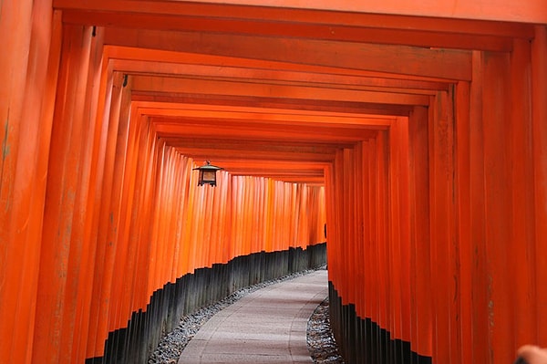 11. Первое место - 12-летний Райли Харлан